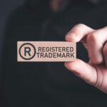 Are Trademark Searches Free?